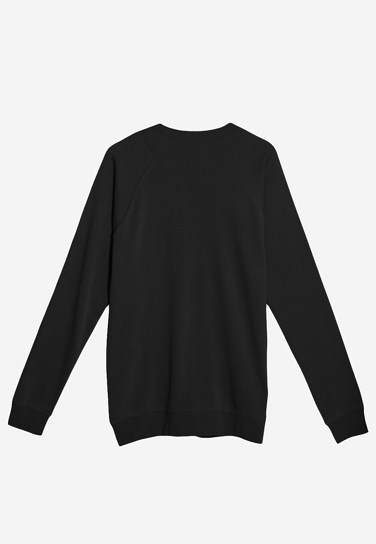 French Terry Raglan Crewneck LS13004