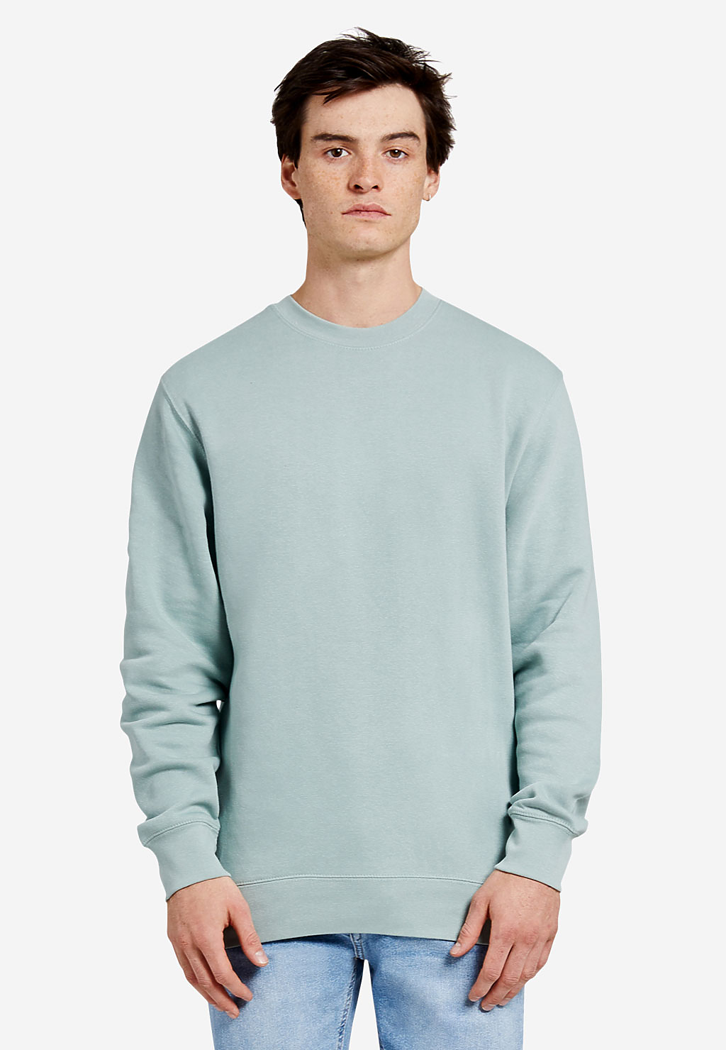 Premium Crewneck Sweatshirt LS14004 (Extended Sizes)