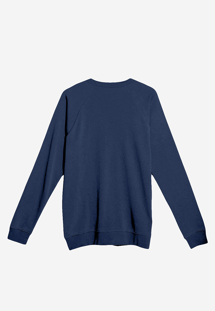 French Terry Raglan Crewneck LS13004
