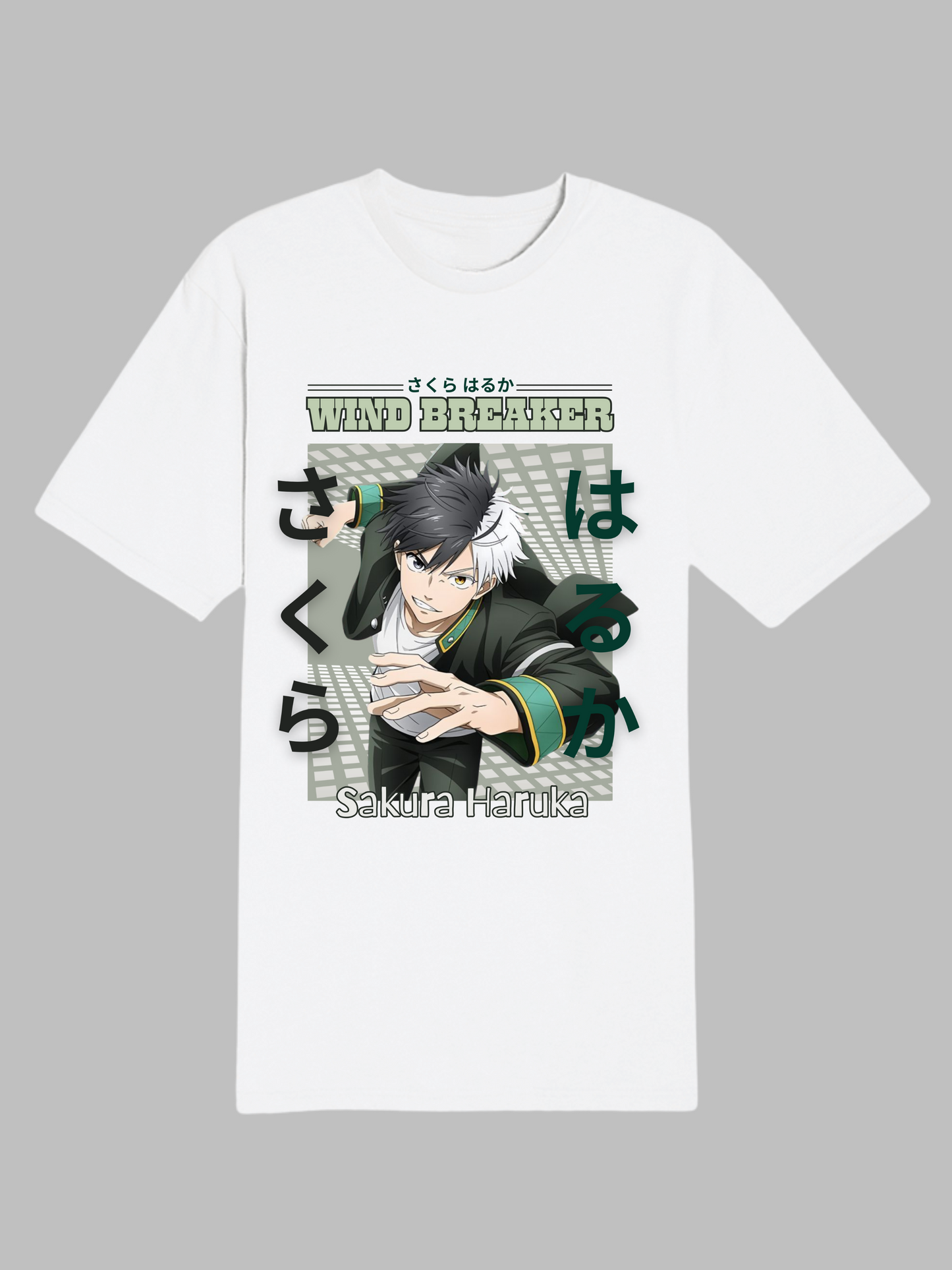 Wind Breaker (HARUKA SAKURA)