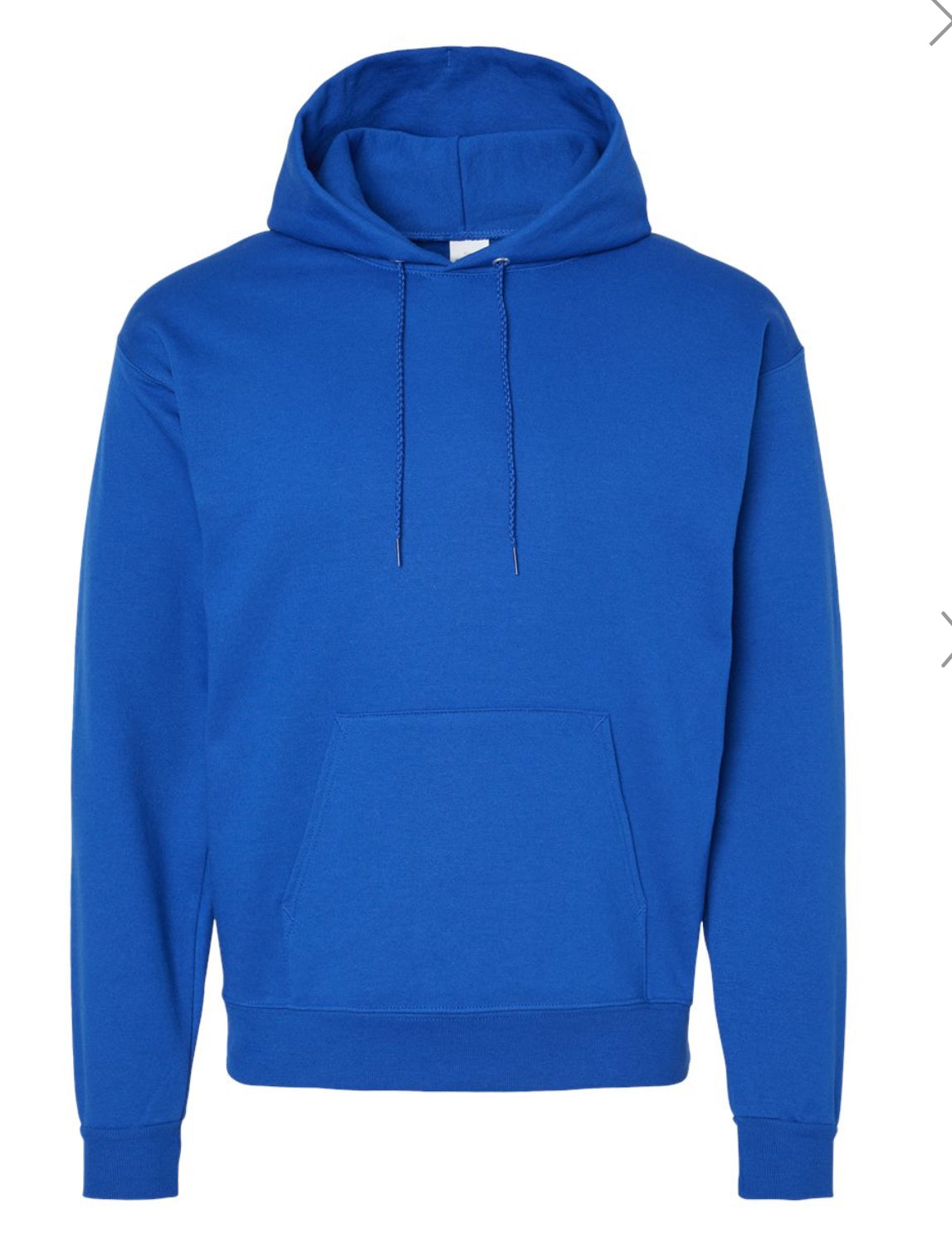 Ecosmart Hooded Sweatshirt - P170 * Standard Large*