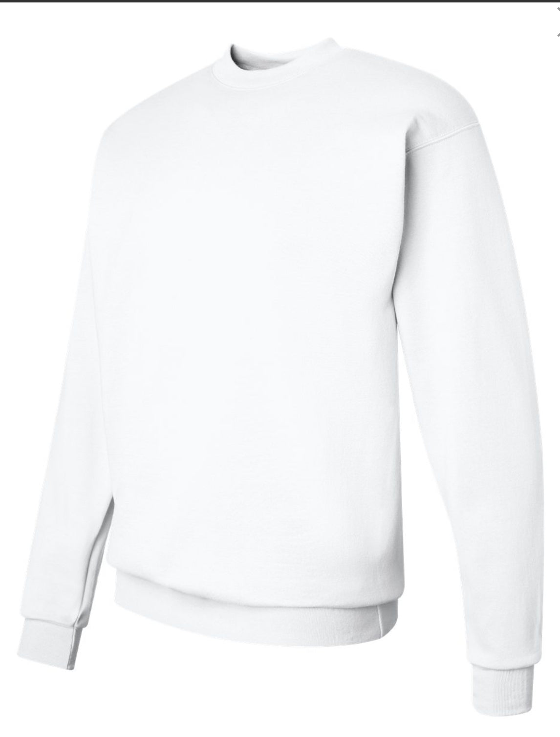 Ecosmart Crewneck Sweatshirt -P160 * Standard Size*