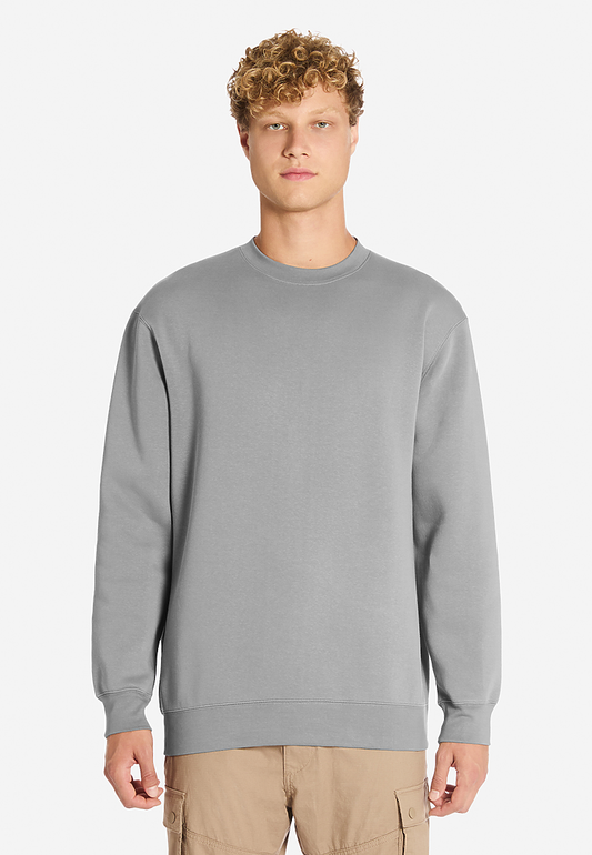 Heavy Crewneck Sweatshirt - LS19004