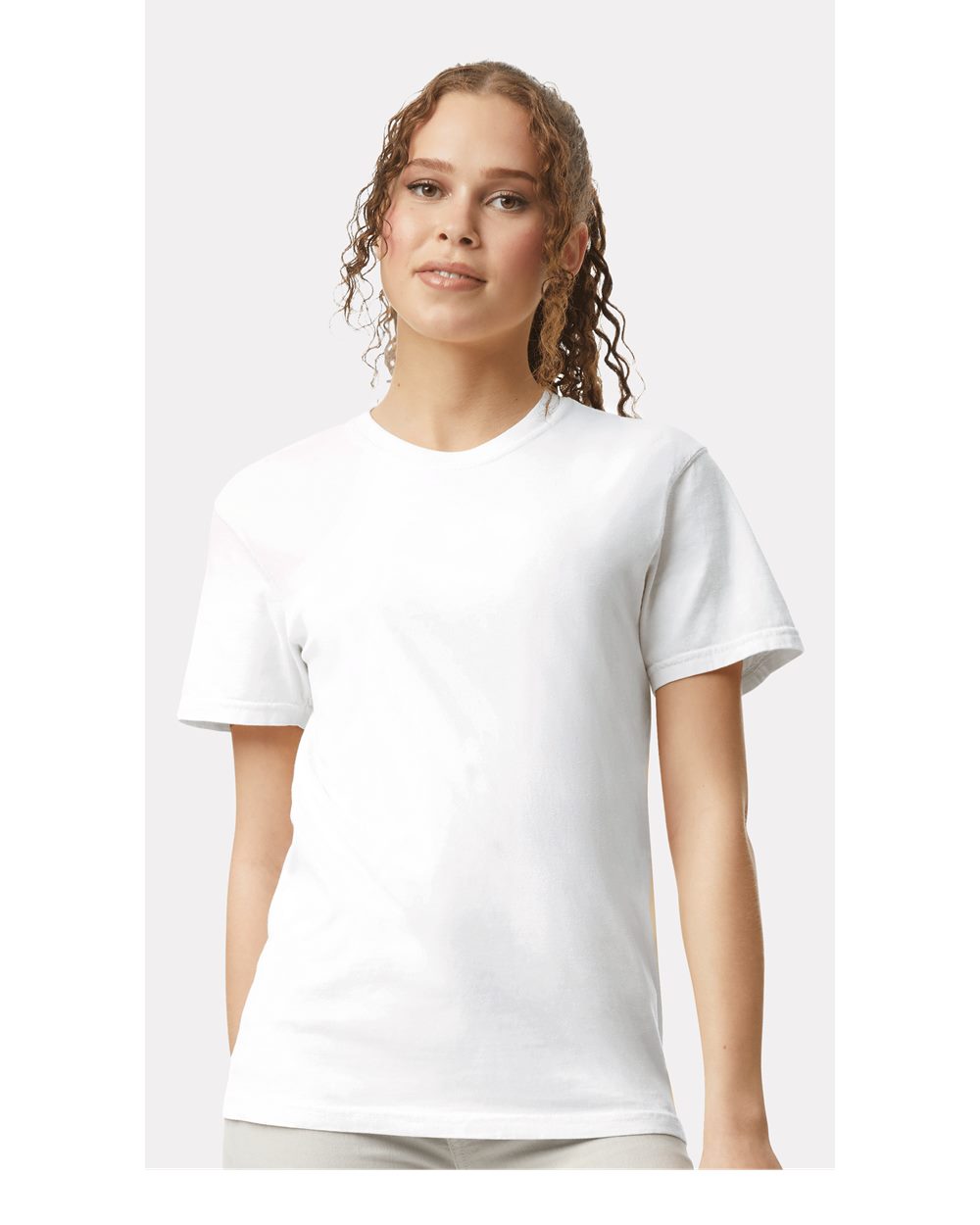 Garment Dyed Heavyweight T-Shirt - 1717